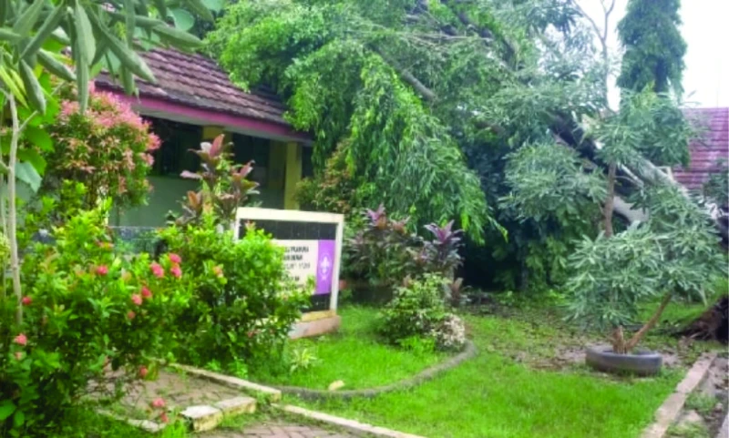Dua Ruang Kelas SD Negeri Rancabango, Subang Tertimpa Pohon Beringin