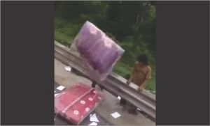 Viral! Sejumlah Warga Sibuk Mencuri Kasur di Jalan Tol Cipularang
